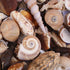 large beige tan shell mix